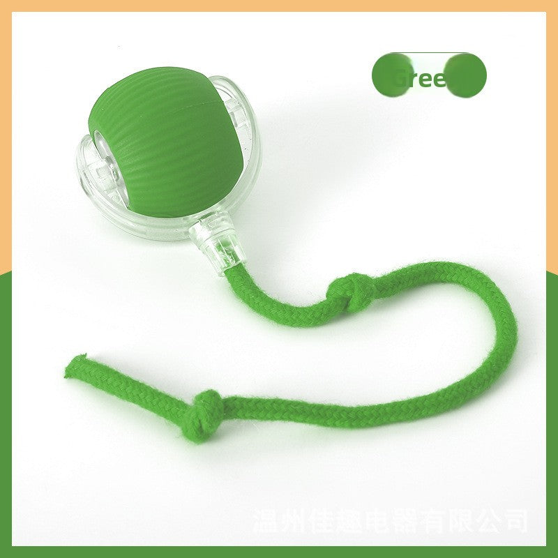 pet toy ball