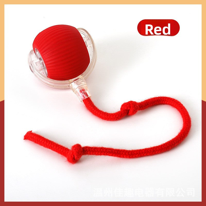 pet toy ball